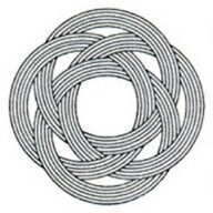 arnoldii