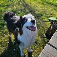 KevinDru