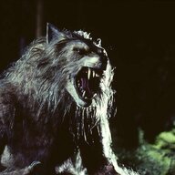 WarBeast66