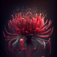 Galatea