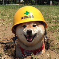 justheretoobserve