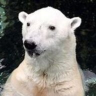 soapeater