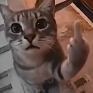 digitale95
