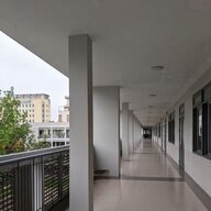 vietnguyen