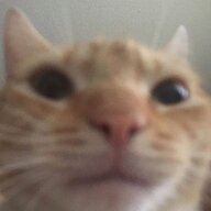 canalpa