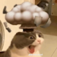 AnAverageDumbo