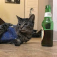 ReeCat