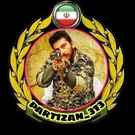 Partizan313