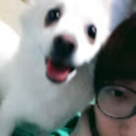 YichenGi
