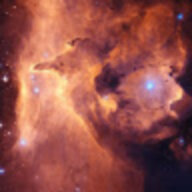 Zzx08031205
