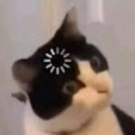 amousu