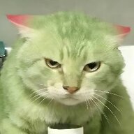 Dr.Orange