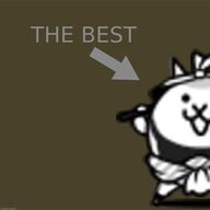 couriercatbest21