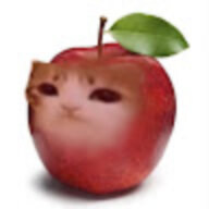 tedo