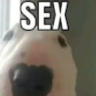 zapis