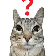 idkcatfr