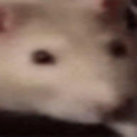 JunichiJunko