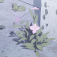 二次核素