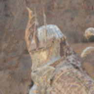 YourKnight