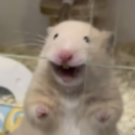 Catpenheimer