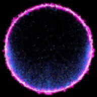 void1111