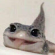 adepthori