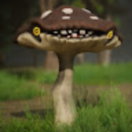 Timagvr