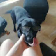 susuooo