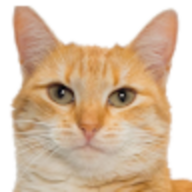 MeongMan