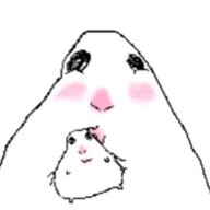Muteindispute