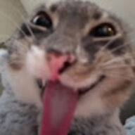 retr