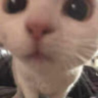 Rawgou