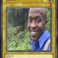 phylistt