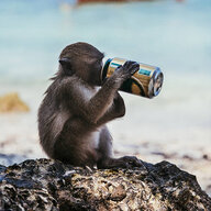Beermonkey