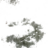 alxio