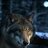 wolfcm
