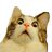 Bisquake0