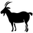 DoktorDestro