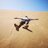 bingoDE