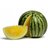 masoud737