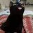 Blackcat1722