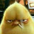 dongmo