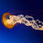 fieryfire