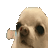 xeroxdd
