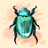 INSECT 155