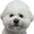 vanilla0918