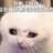 catea223