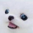 Ericmds