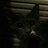 AngryKitten
