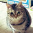 lucy-0213